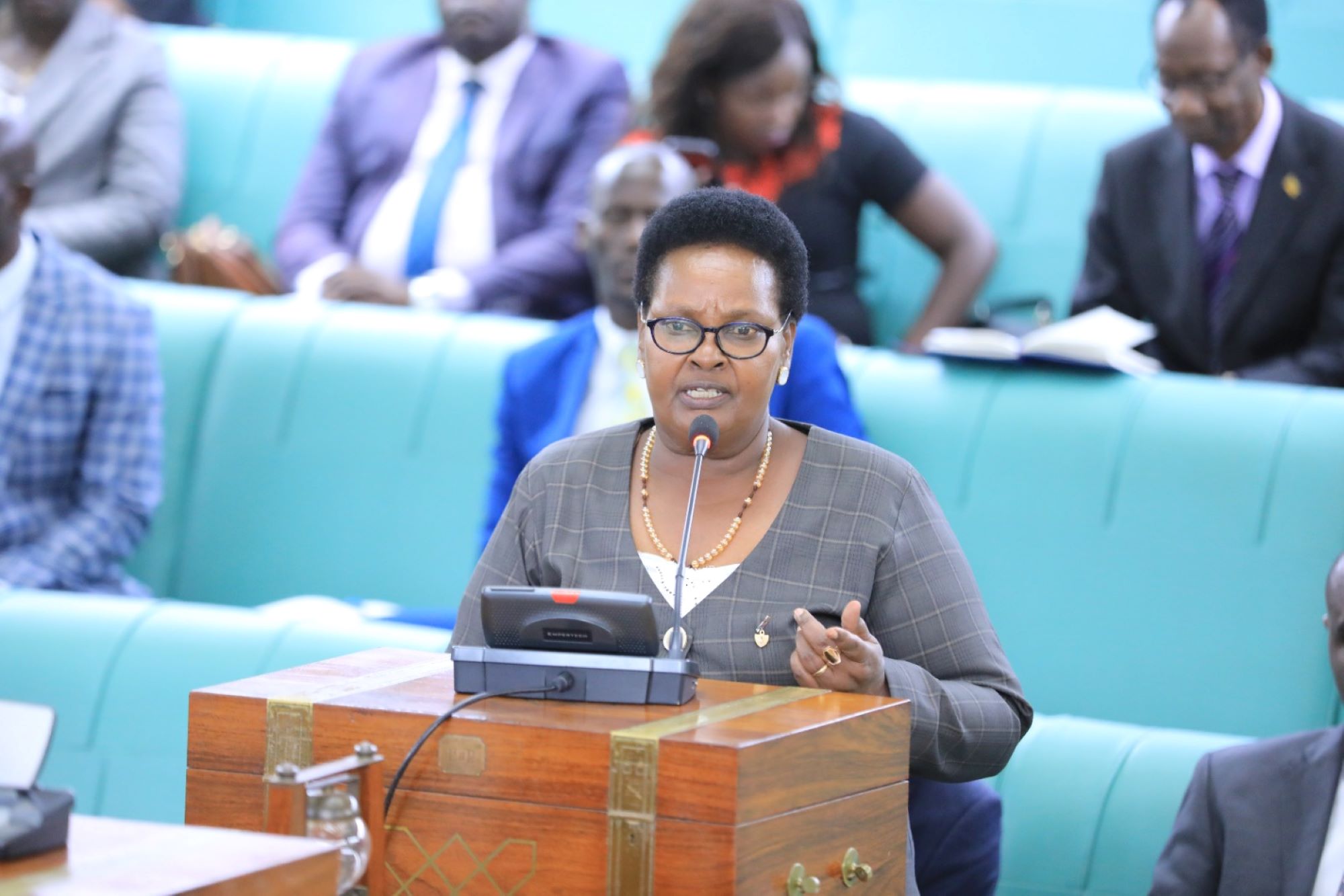 MPs call for adequate financing for LC elections, remuneration